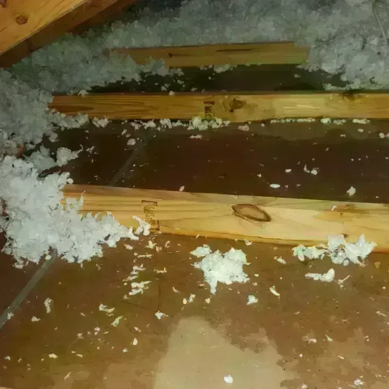 Attic Water Damage in Fulda, MN