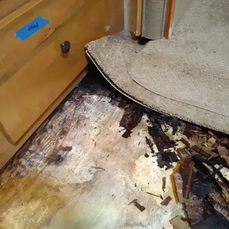 Best Wood Floor Water Damage Service in Fulda, MN